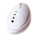 Portable Aromatherapy Fan Diffuser
